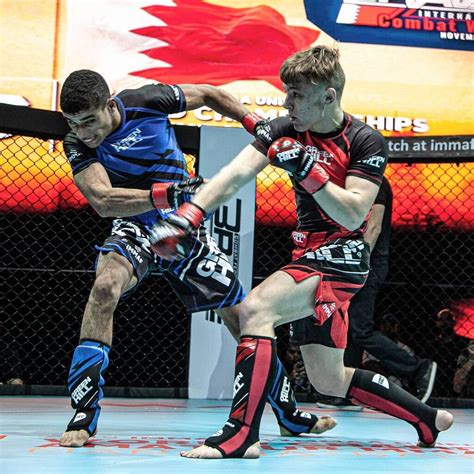 tko vs ko|The Difference Between TKO and KO [Explained in Simple Terms].